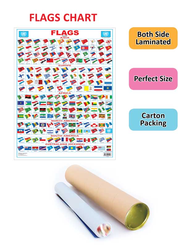 Dreamland Publications Flag Chart : Children Reference Educational Laminated Chart