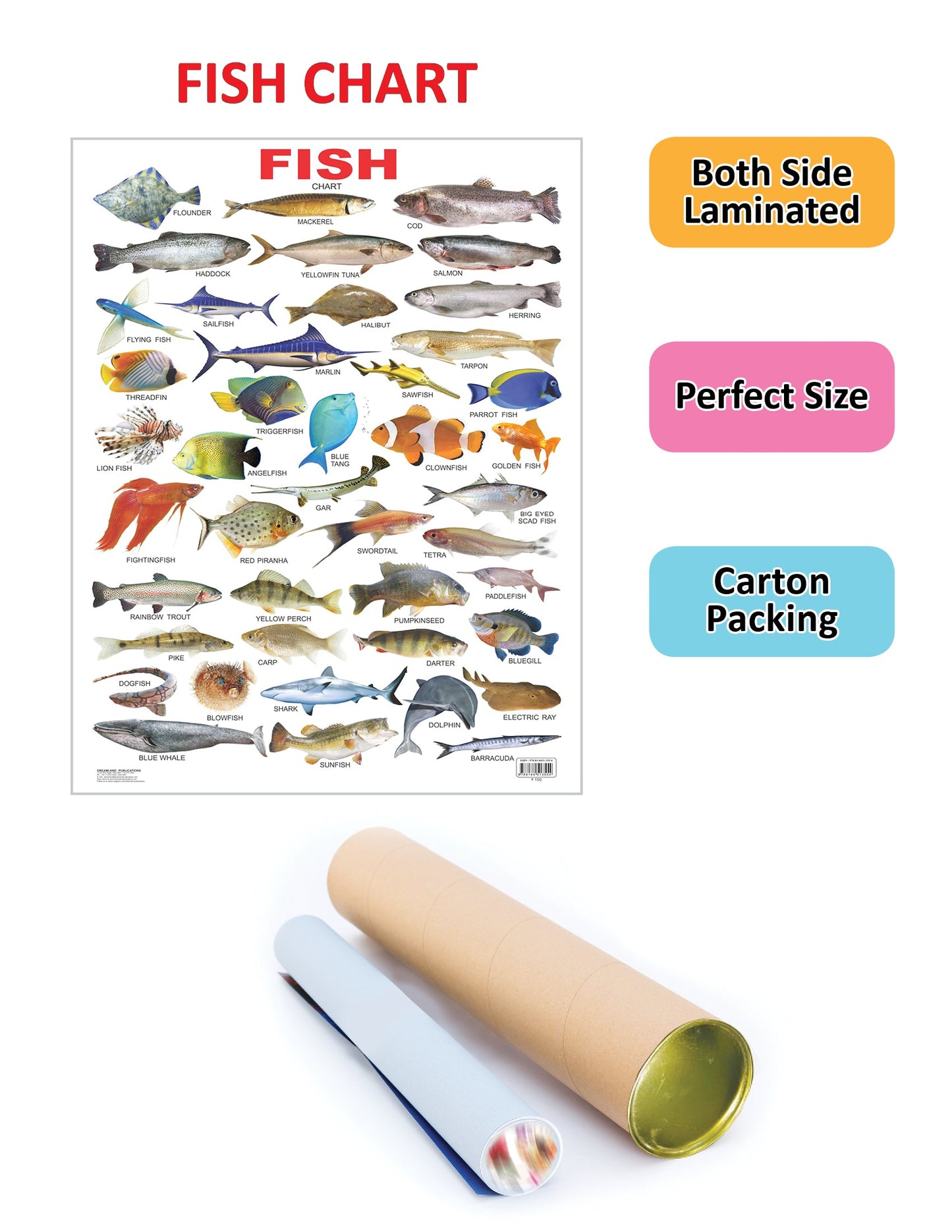 Dreamland Publications Educational Chart for Kids - Fish