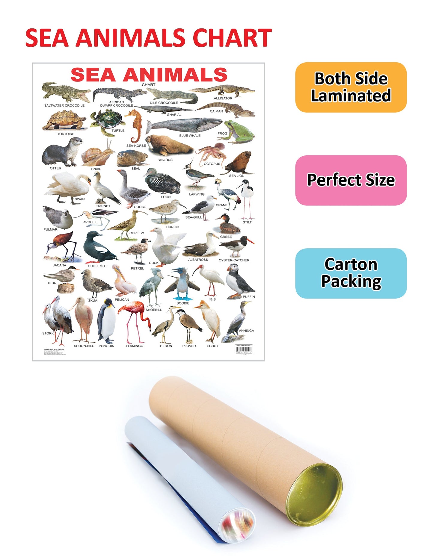 Dreamland Publications Educational Chart for Kids - Sea Animal