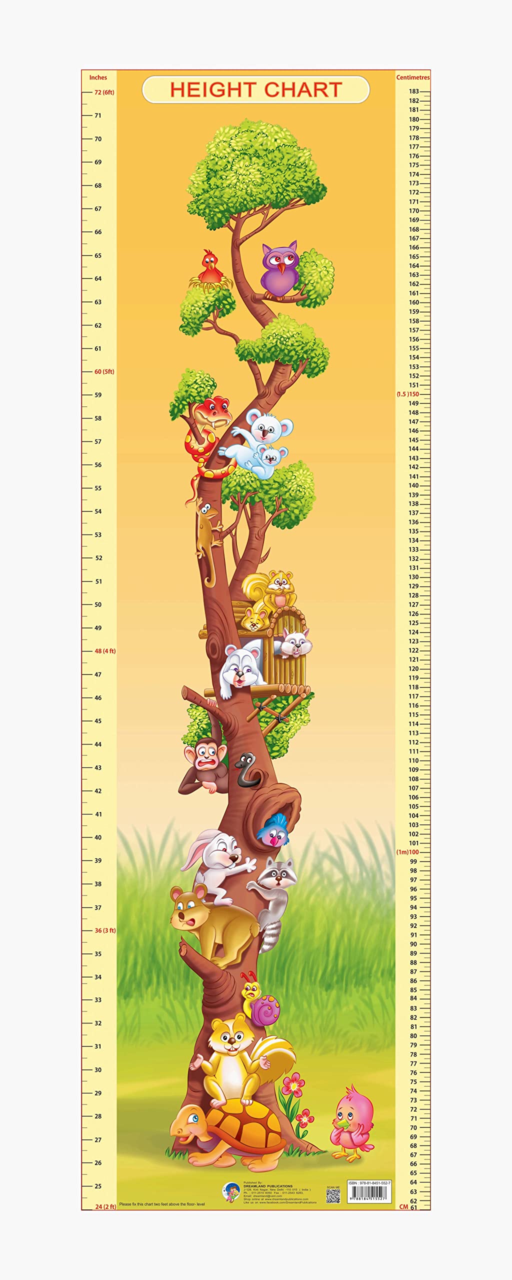 Dreamland Publications Educational Chart for Kids - Height Chart - 2 -  buy in usa 