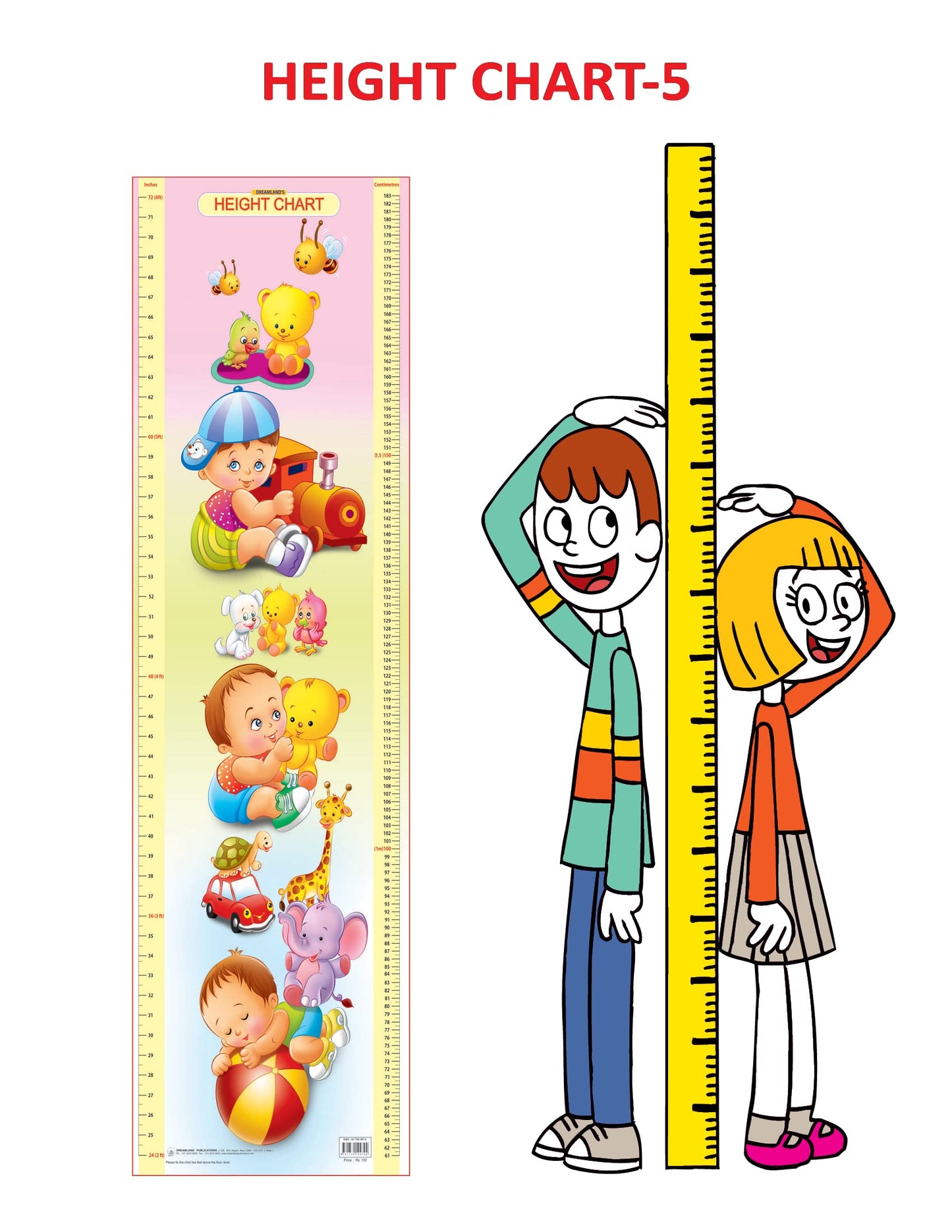 Dreamland Publications Educational Chart for Kids - Height Chart - 5