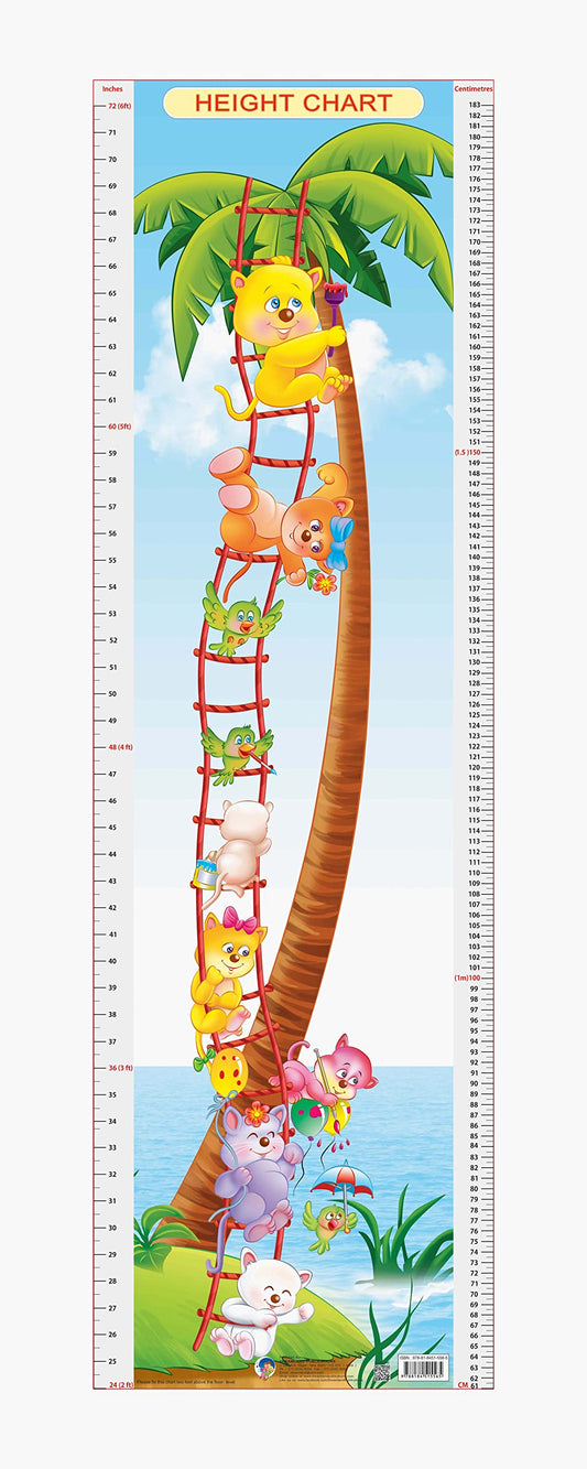 Dreamland Publications Educational Chart for Kids - Height Chart - 6 -  buy in usa 