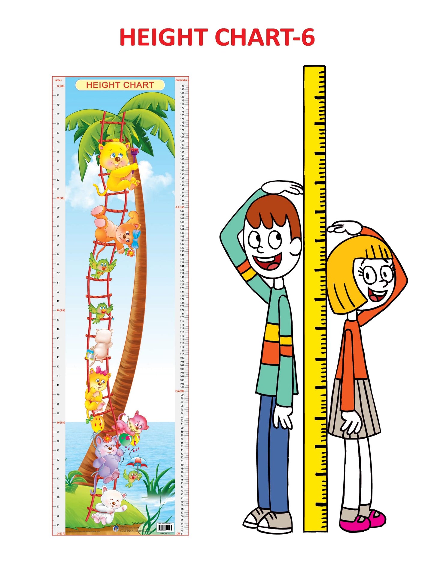 Dreamland Publications Educational Chart for Kids - Height Chart - 6