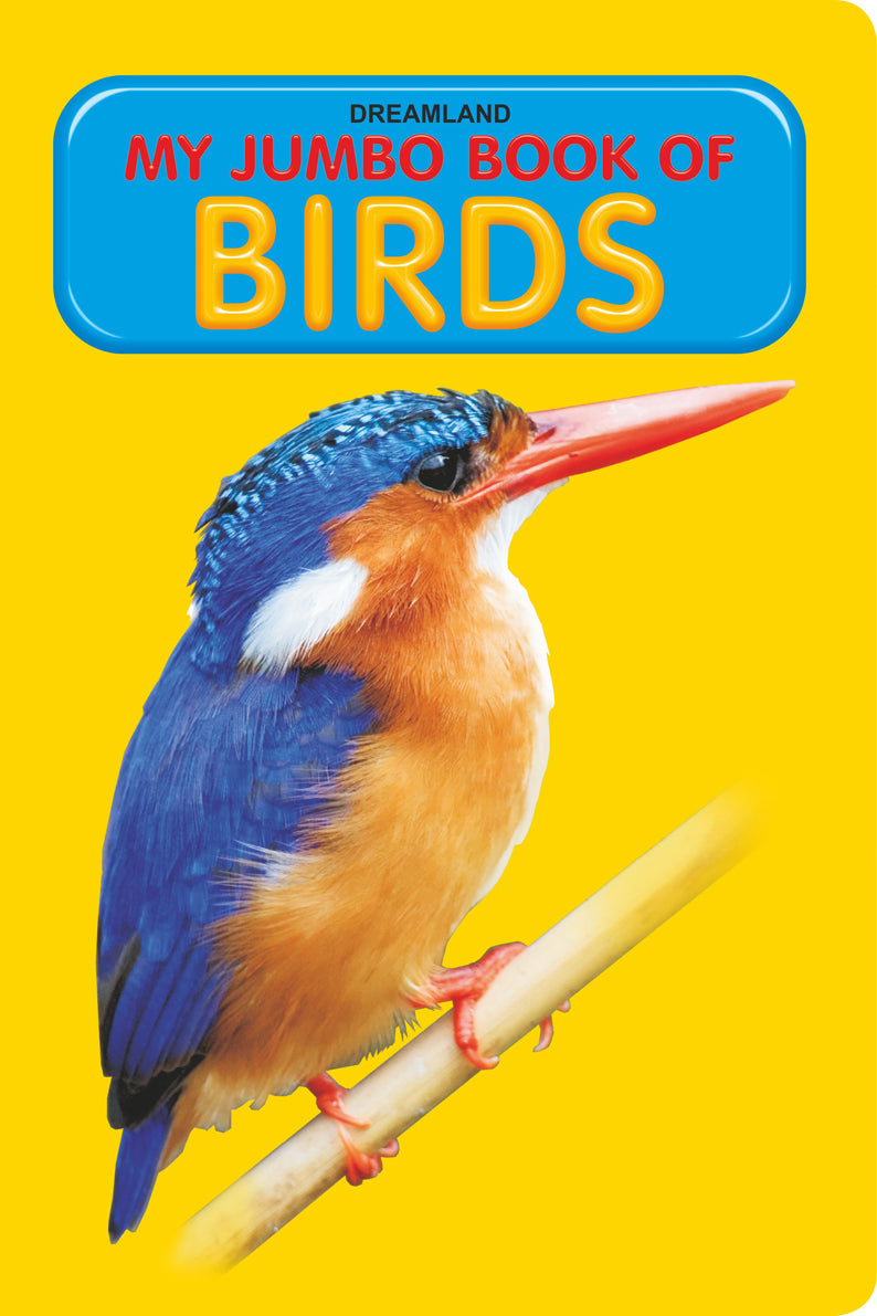 Dreamland My Jumbo Book - BIRDS -  buy in usa 