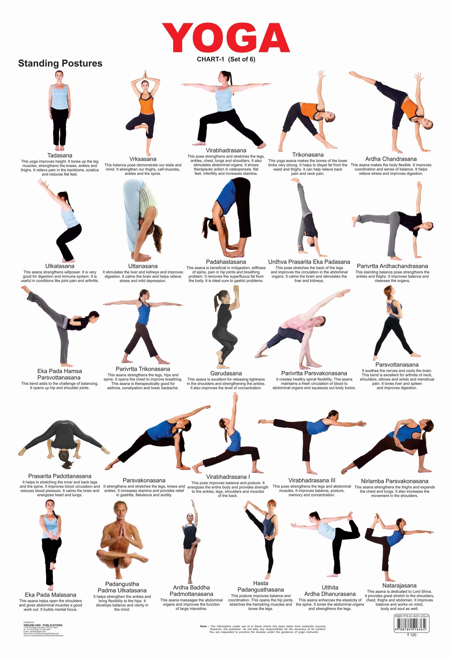 Dreamland Publications Educational Chart for Kids - Yoga Chart - 1 -  buy in usa 