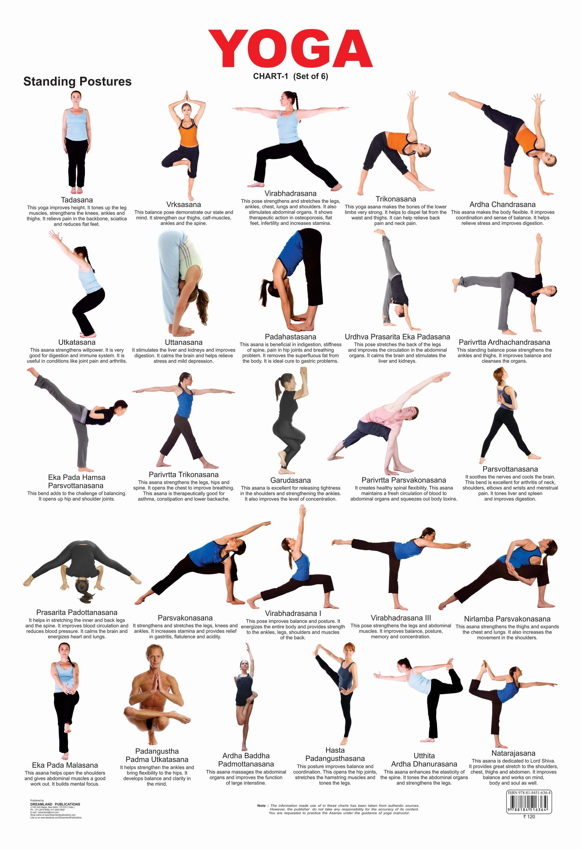 Dreamland Publications Educational Chart for Kids - Yoga Chart - 1 -  buy in usa 