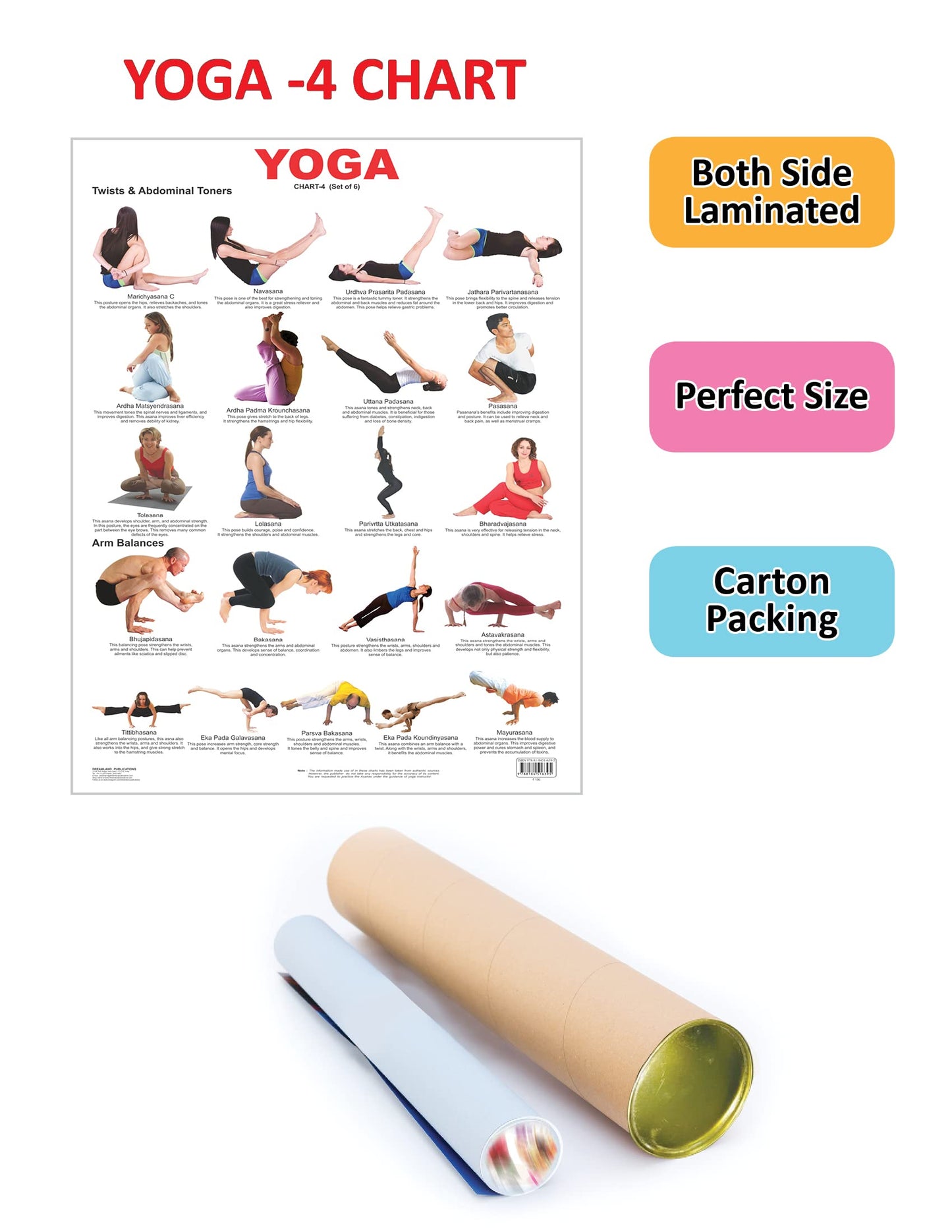 Dreamland Publications Educational Chart for Kids - Yoga Chart - 4