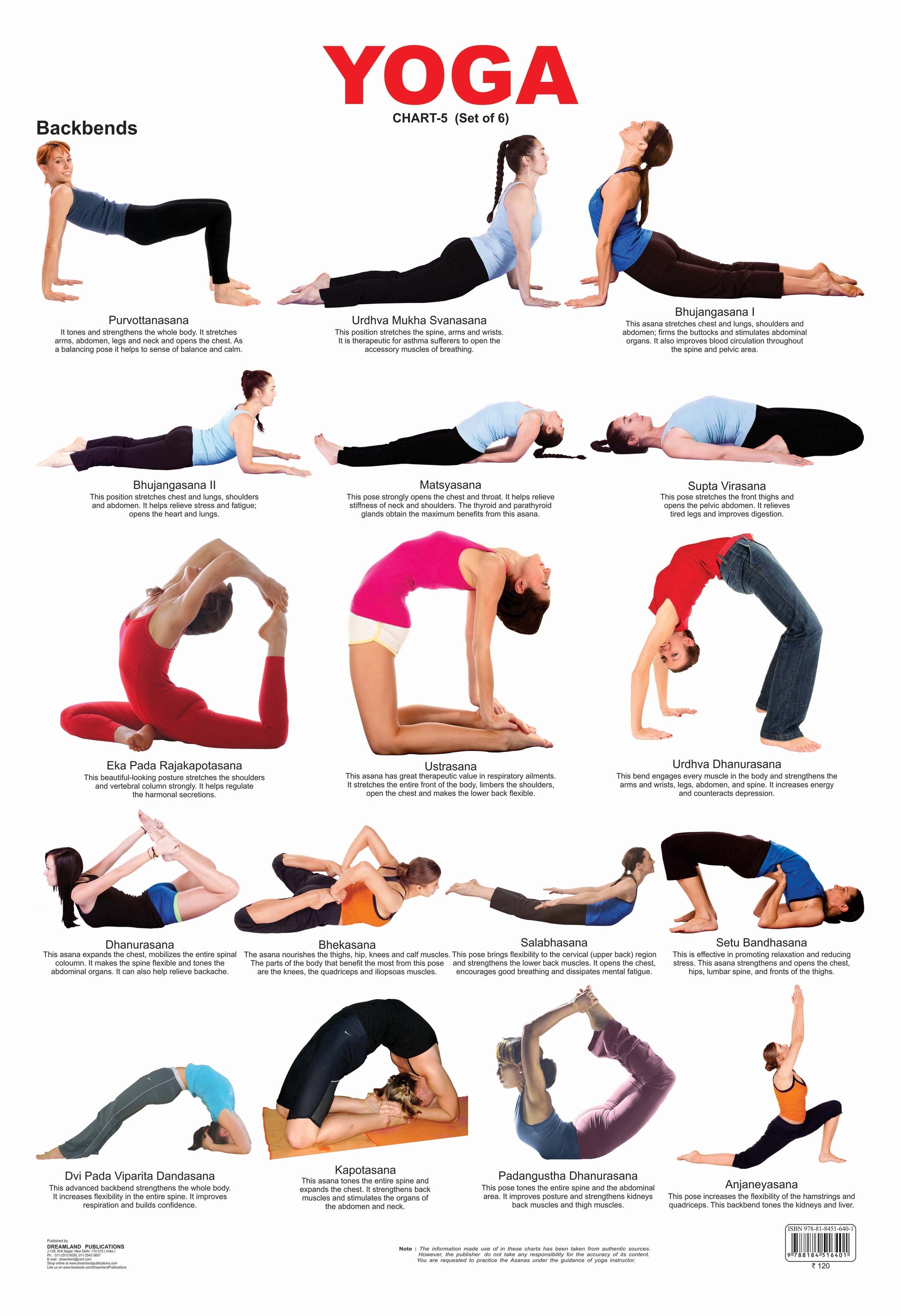 Dreamland Publications Educational Chart for Kids - Yoga Chart - 5 -  buy in usa 