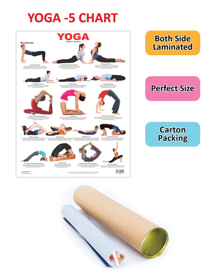 Dreamland Publications Educational Chart for Kids - Yoga Chart - 5