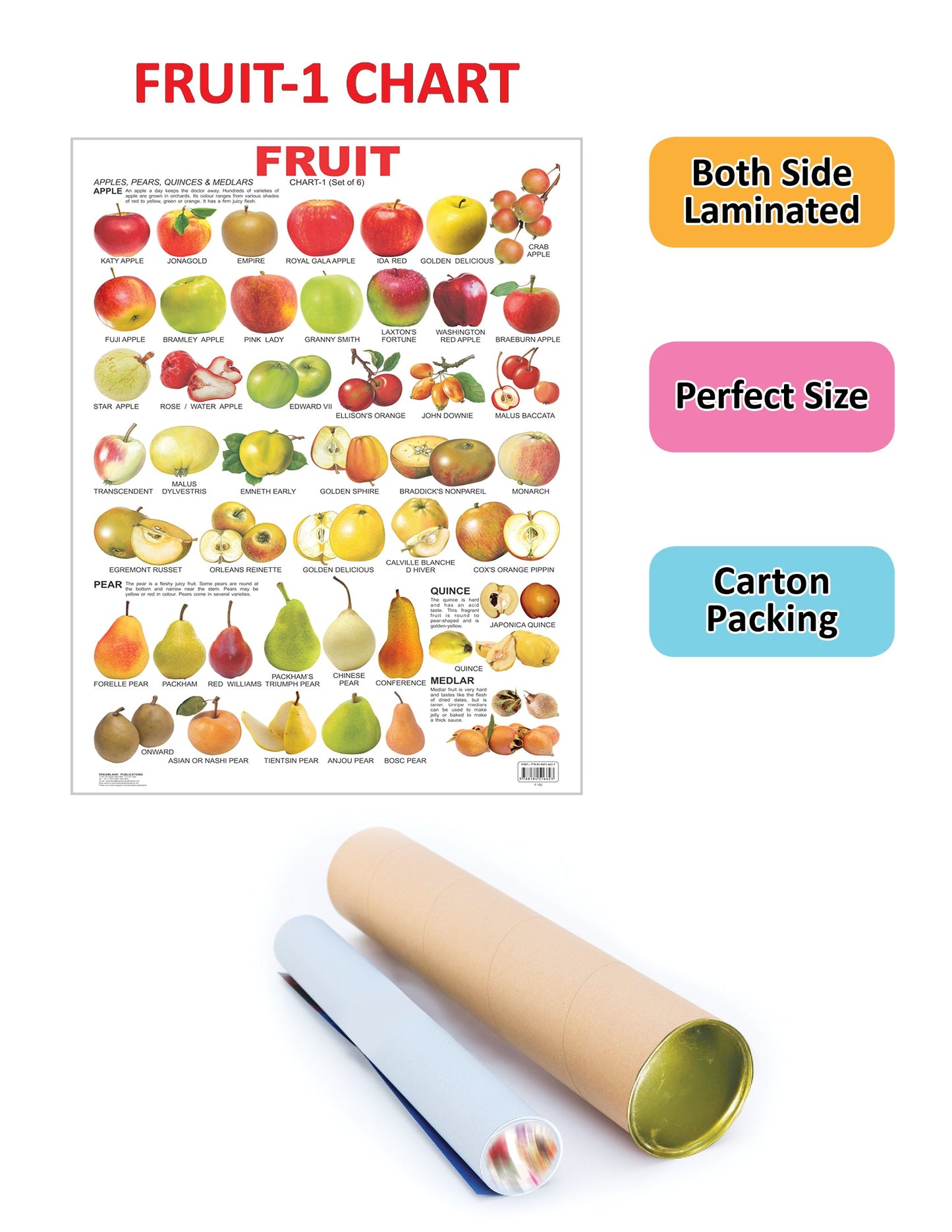 Dreamland Publications Educational Chart for Kids - Fruit Chart - 1