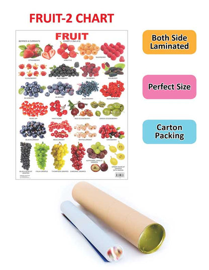 Dreamland Publications Educational Chart for Kids - Fruit Chart - 2