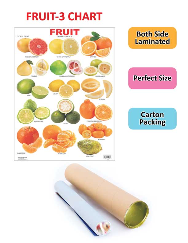 Dreamland Publications Educational Chart for Kids - Fruit Chart - 3