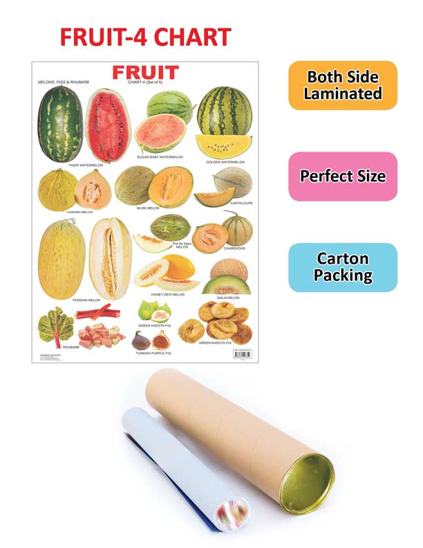 Dreamland Publications Educational Chart for Kids - Fruit Chart - 4