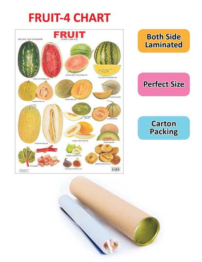 Dreamland Publications Educational Chart for Kids - Fruit Chart - 4