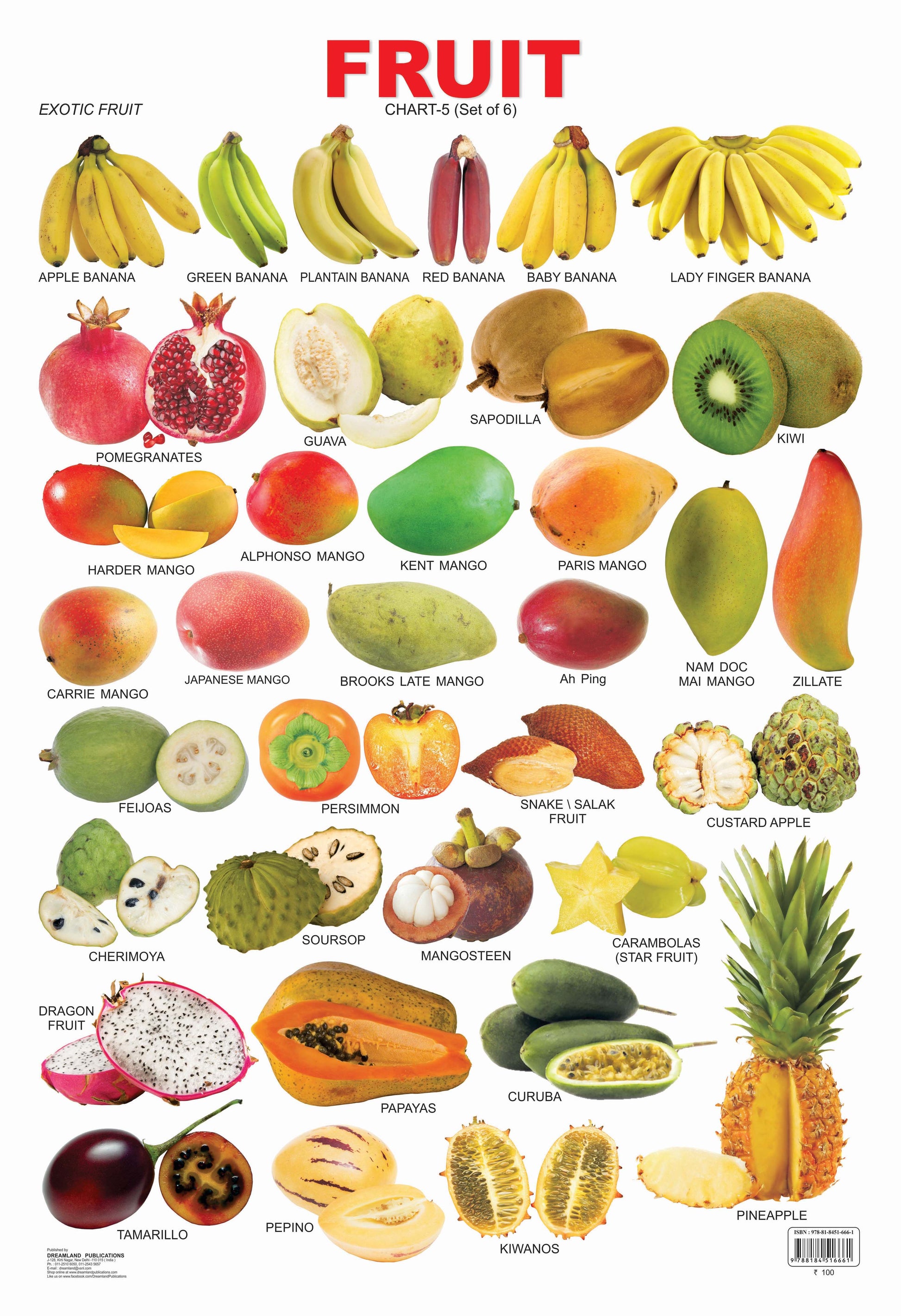 Dreamland Publications Educational Chart for Kids - Fruit Chart - 5 -  buy in usa 