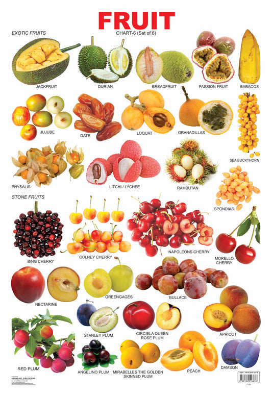 Dreamland Publications Educational Chart for Kids - Fruit Chart - 6 -  buy in usa 