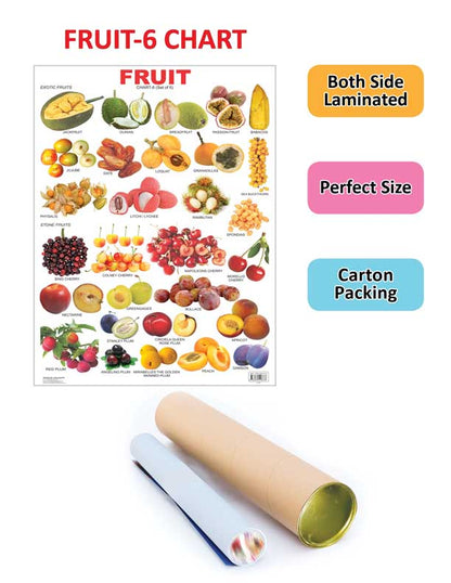 Dreamland Publications Educational Chart for Kids - Fruit Chart - 6