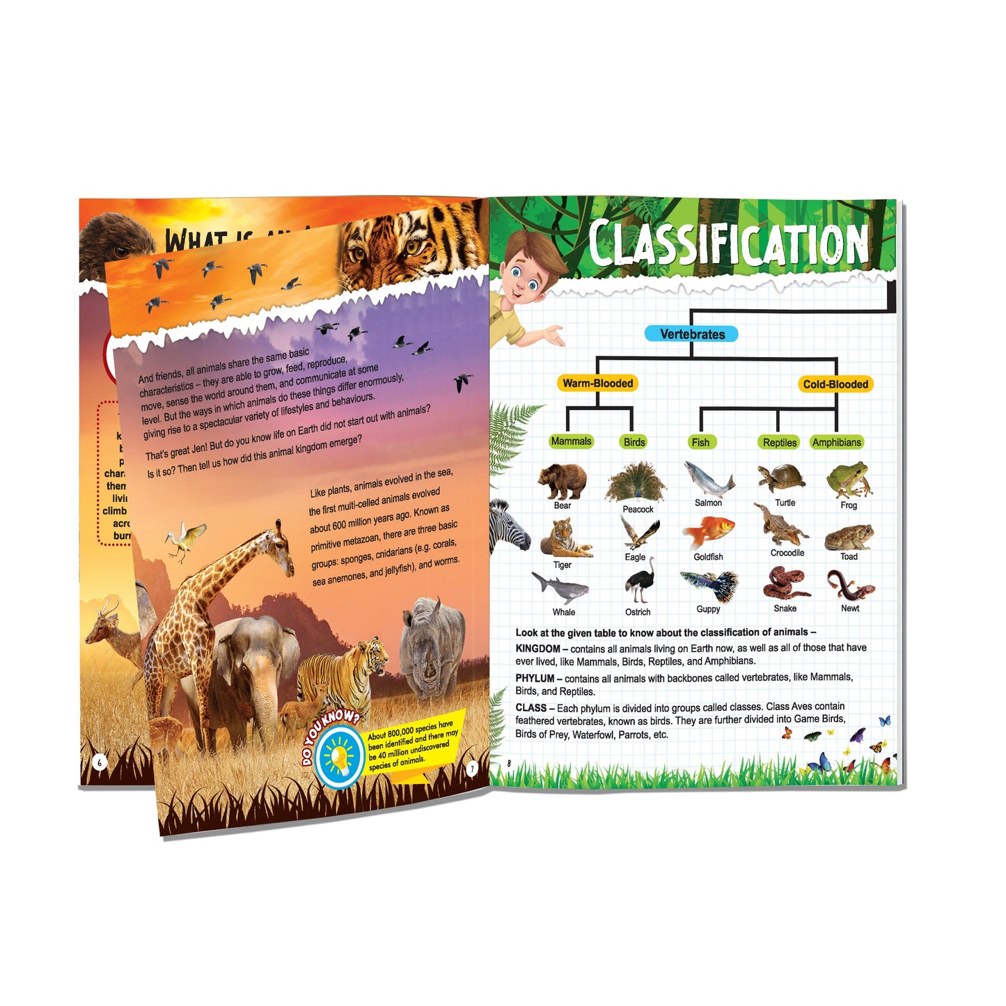 Dreamland Publications Explore Animal Kingdom Encyclopedia : Children's Reference Book