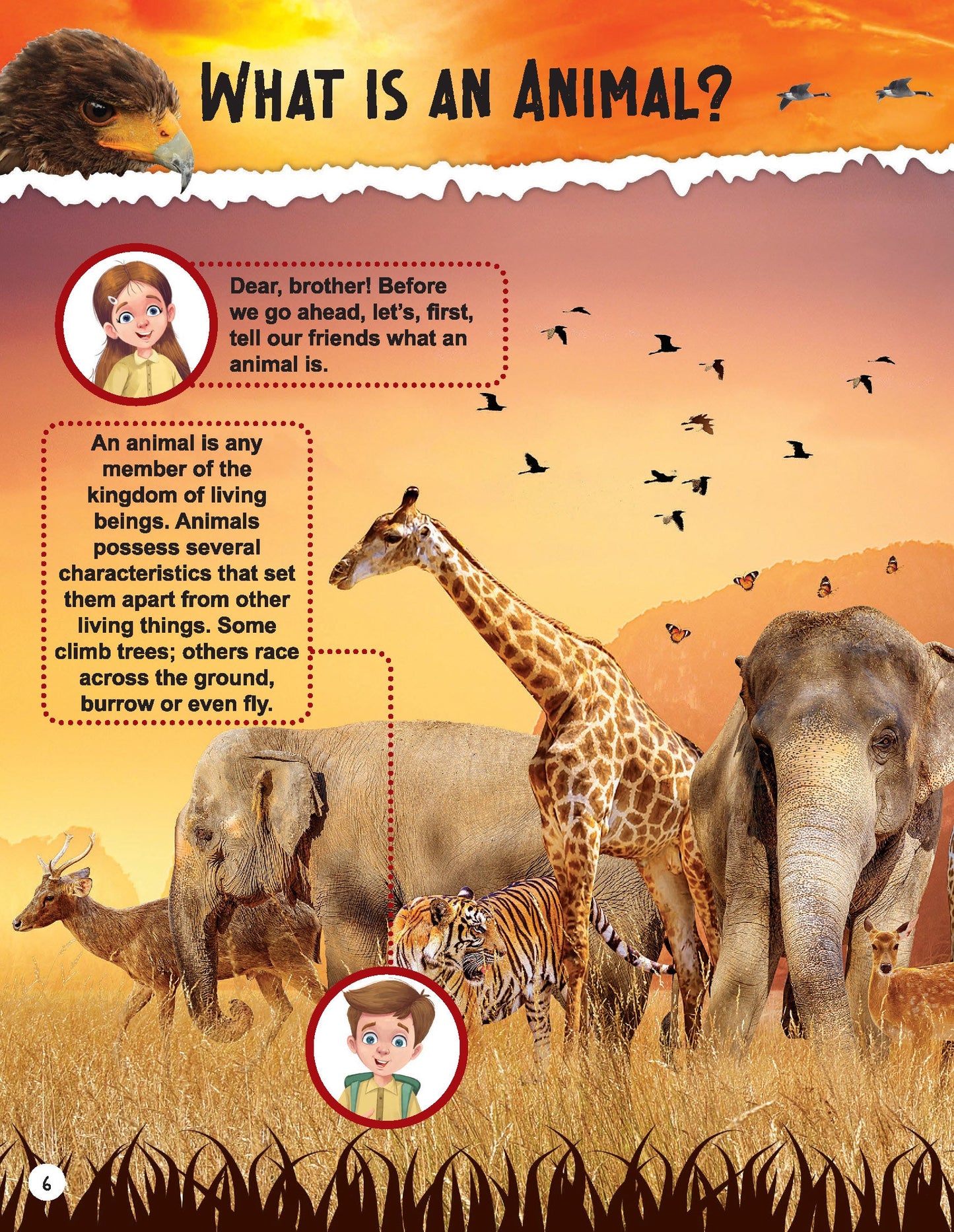 Dreamland Publications Explore Animal Kingdom Encyclopedia : Children's Reference Book