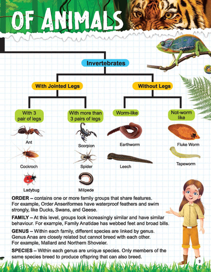 Dreamland Publications Explore Animal Kingdom Encyclopedia : Children's Reference Book