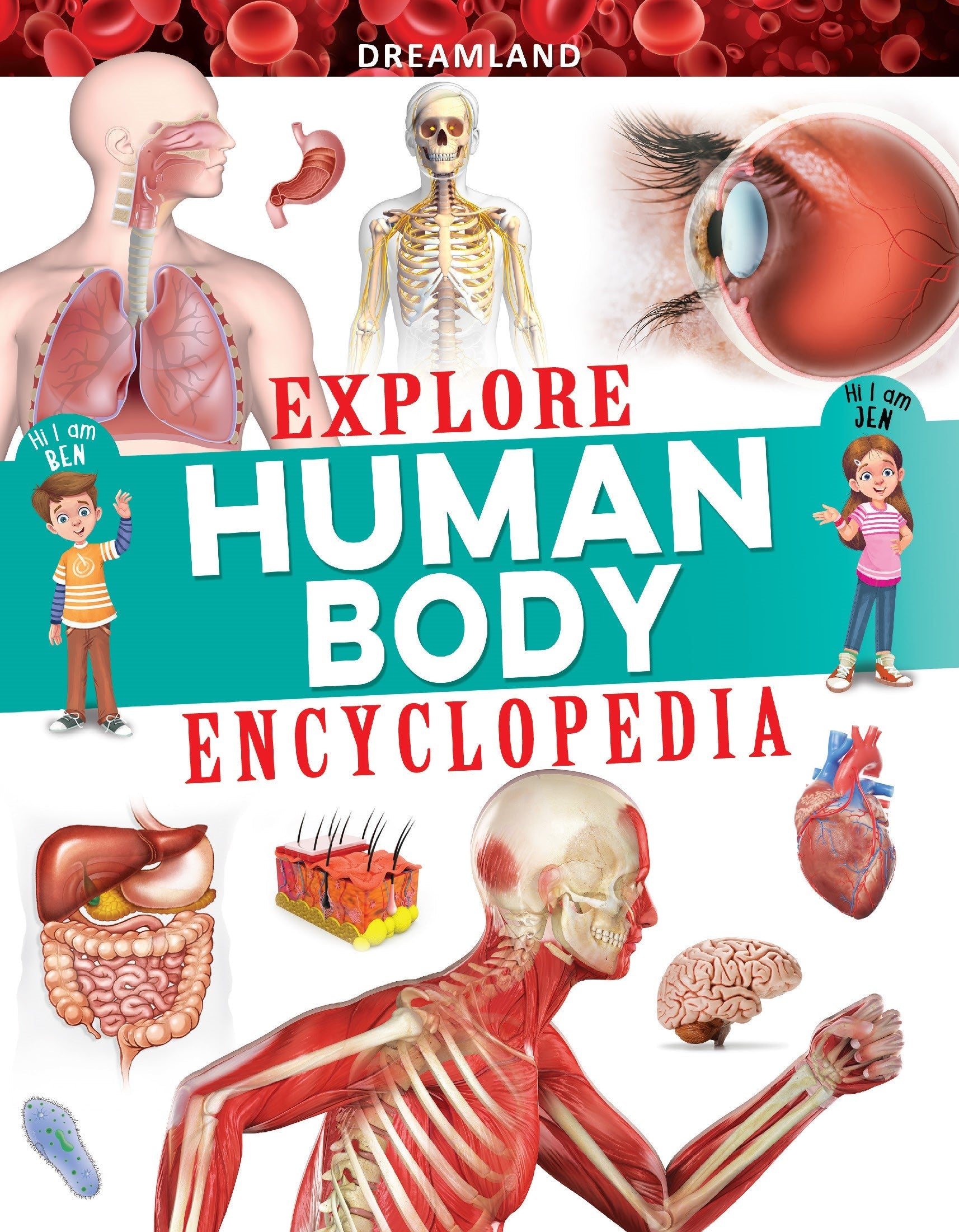 Dreamland Publications Explore Human Body Encyclopedia : Children's Reference Book -  buy in usa 