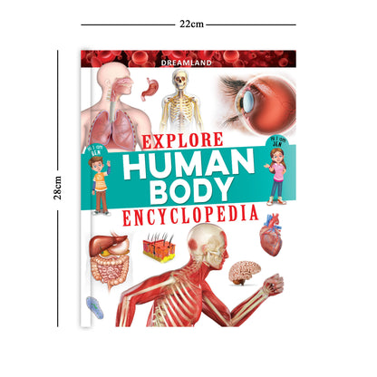 Dreamland Publications Explore Human Body Encyclopedia : Children's Reference Book