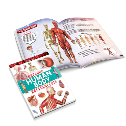 Dreamland Publications Explore Human Body Encyclopedia : Children's Reference Book