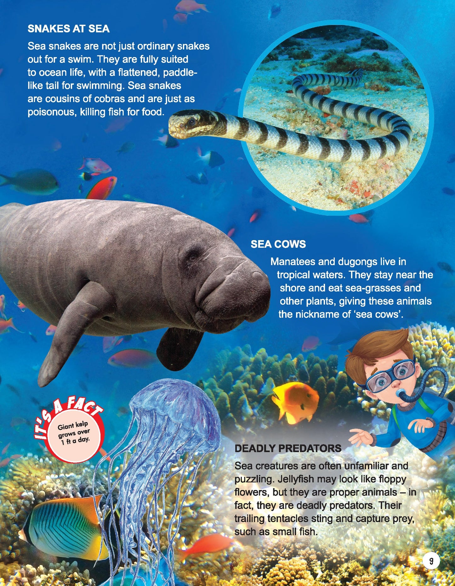 Dreamland Publications Explore Ocean World Encyclopedia : Children's Reference Book