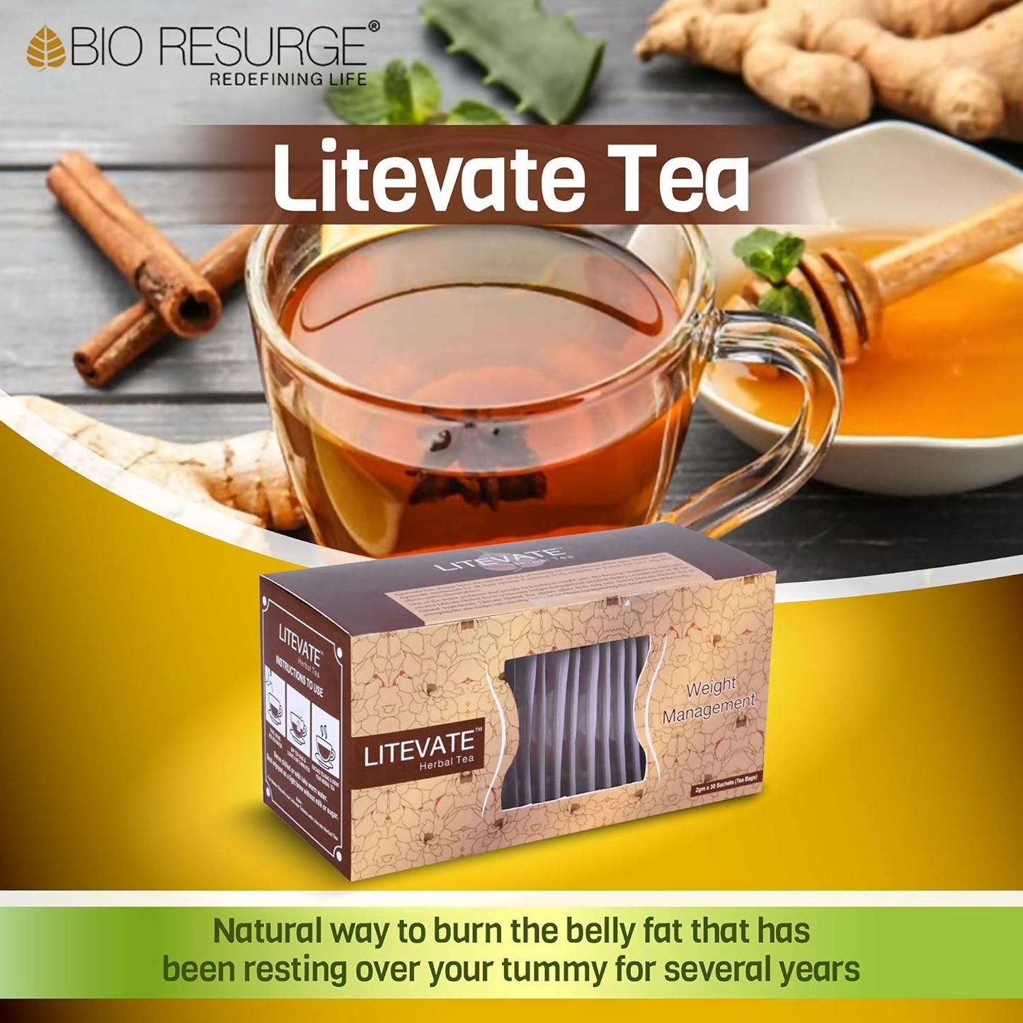 Bio Resurge Life Litevate Herbal Green Tea