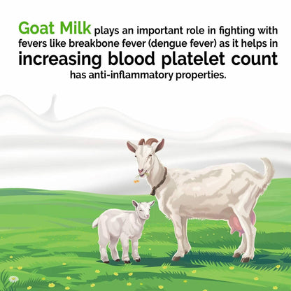 Aadvik Goat Milk Powder (200 Gm)