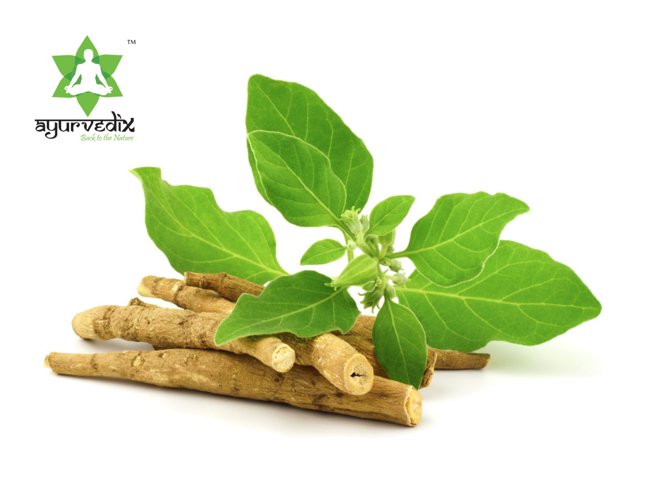 Ayurvedix Organic Ashwagandha Powder