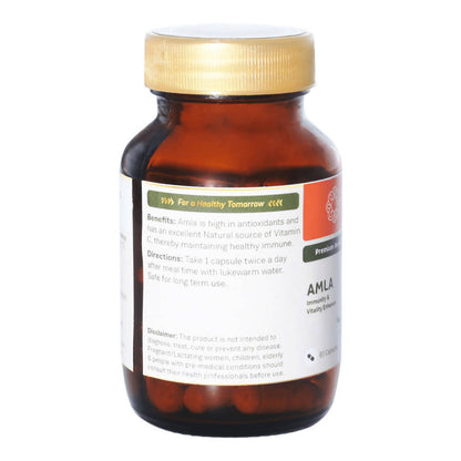 Sitaram Ayurveda Amla Capsules