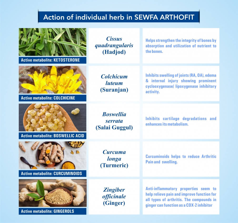 Sewfa Naturals Arthofit Capsules