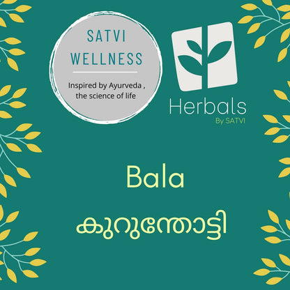 Satvi Wellness Dry Bala / Kurunthoti Chopped