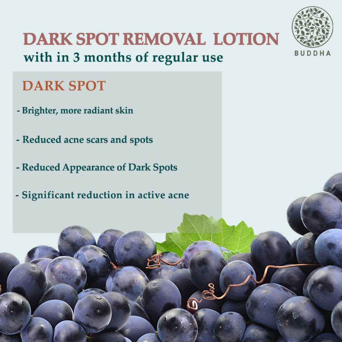 Buddha Natural Dark Spot Removal Body Lotion - Helps With Brighten & Even skin Tone