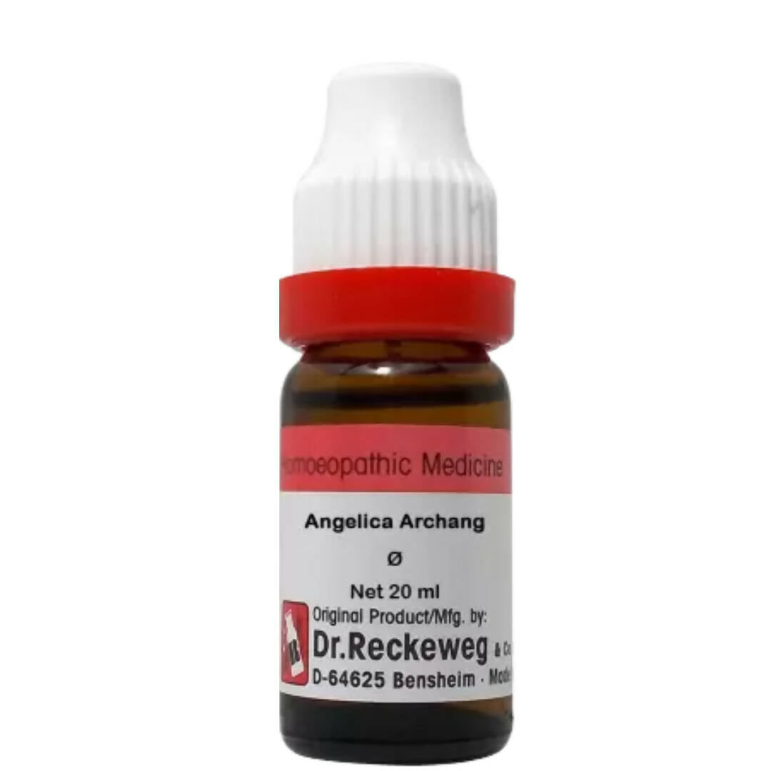 Dr. Reckeweg Angelica Archang Mother Tincture Q -  usa australia canada 