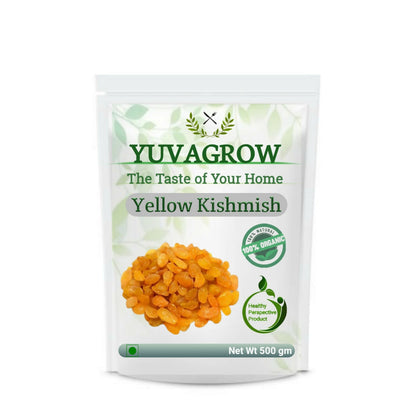 Yuvagrow Yellow Seedless Kishmish -  buy in usa 