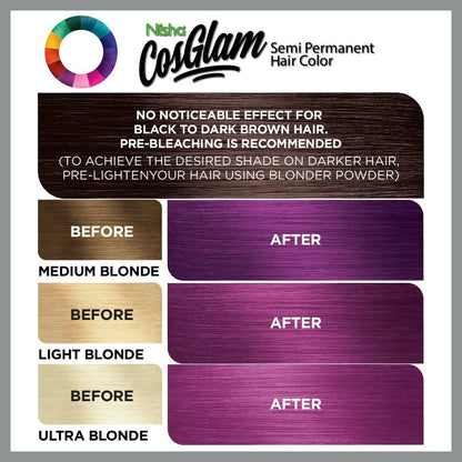 Nisha Cosglam Semi Permanent Hair Color 22 French Plum