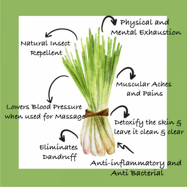 Sarva by Anadi Lemongrass Pure Essential Oil