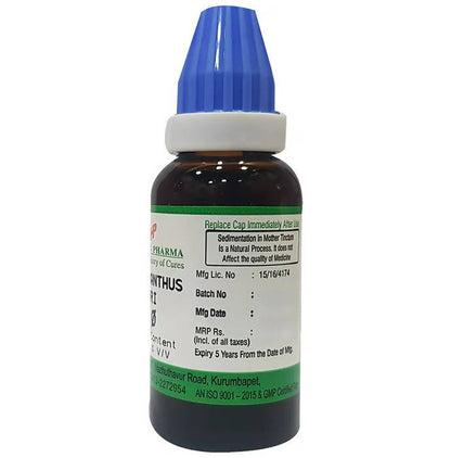 Hering Pharma Phylanthus Niruri Mother Tincture Q