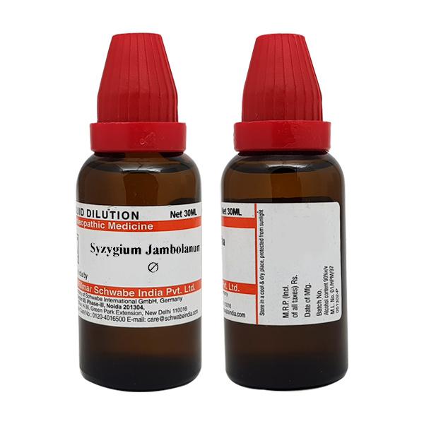 Dr. Willmar Schwabe India Syzygium Jambolanum Mother Tincture Q