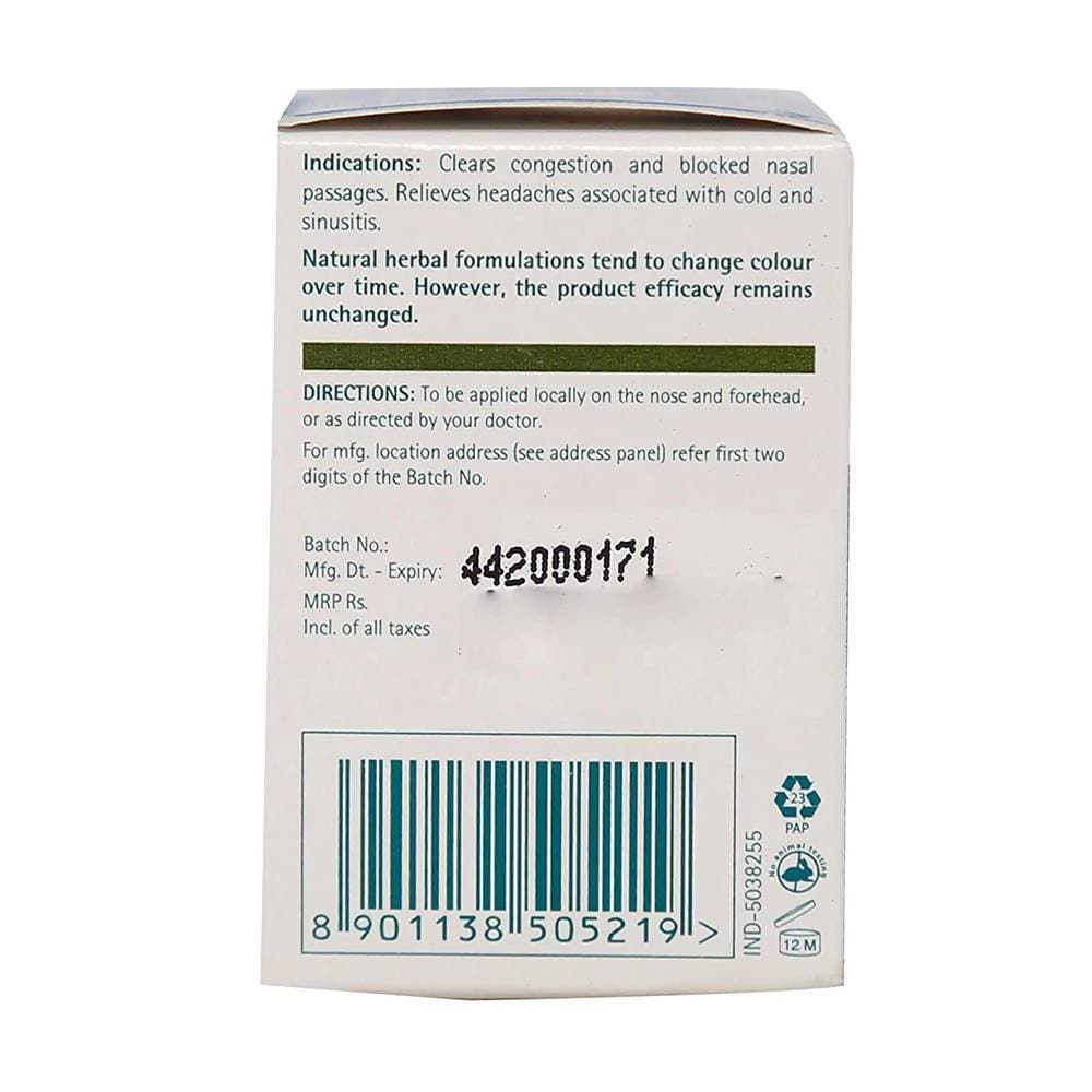 Himalaya Wellness Cold Balm Rapid Action