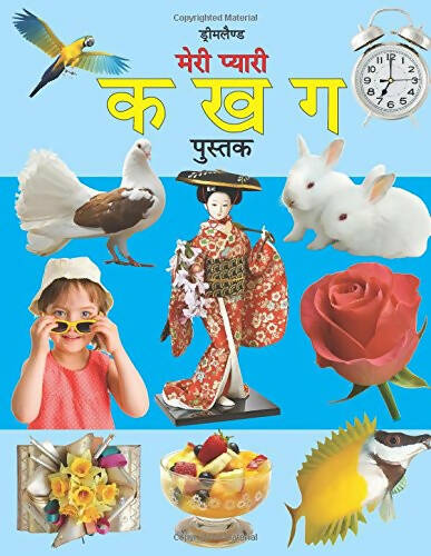 Dreamland Meri Pyari Ka Kha Ga Pustak (Hindi) -  buy in usa 