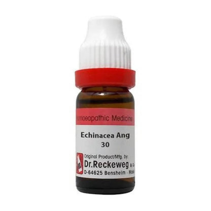 Dr. Reckeweg Echinacea Ang Dilution -  usa australia canada 