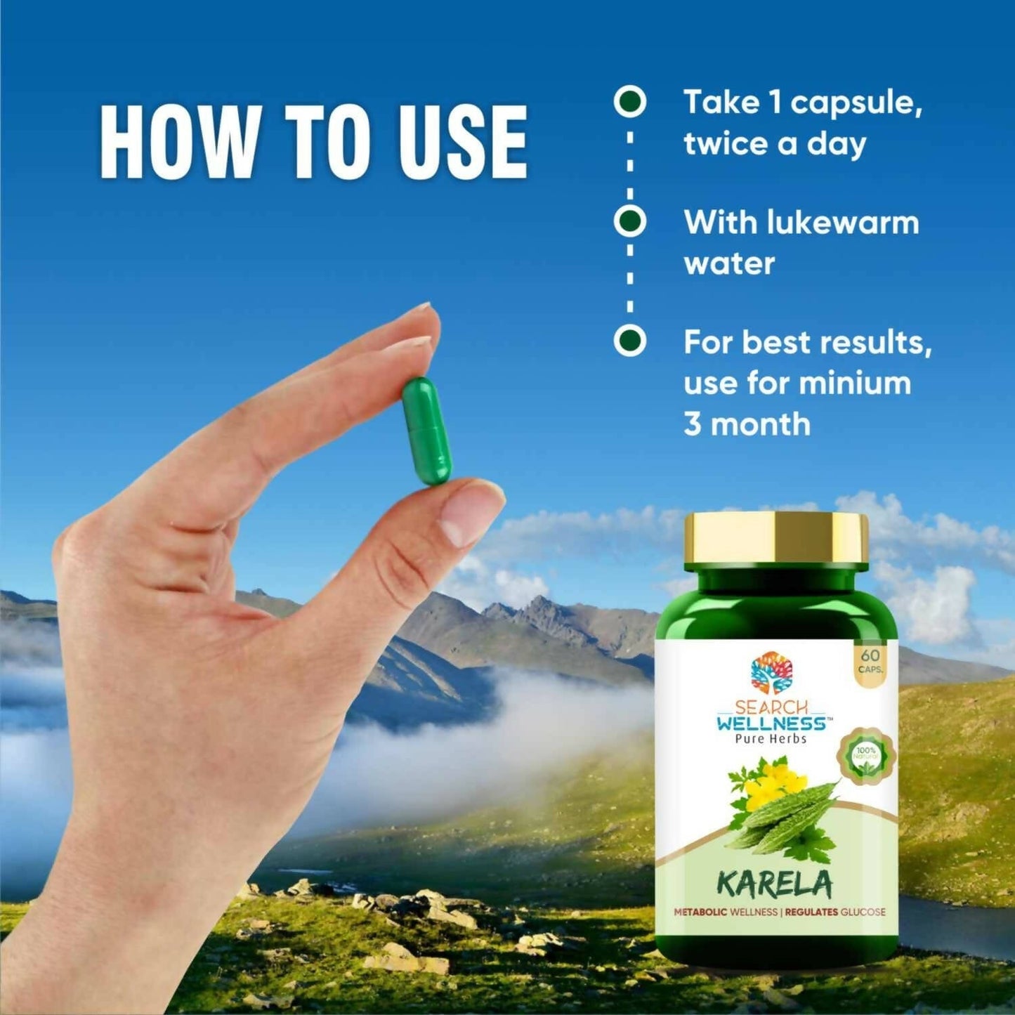 Search Wellness Karela Capsules