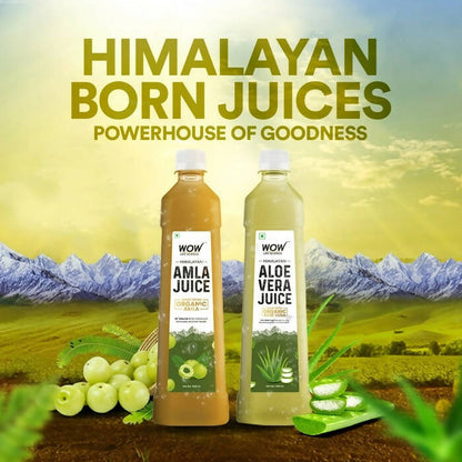 Wow Life Science Himalayan Amla Juice