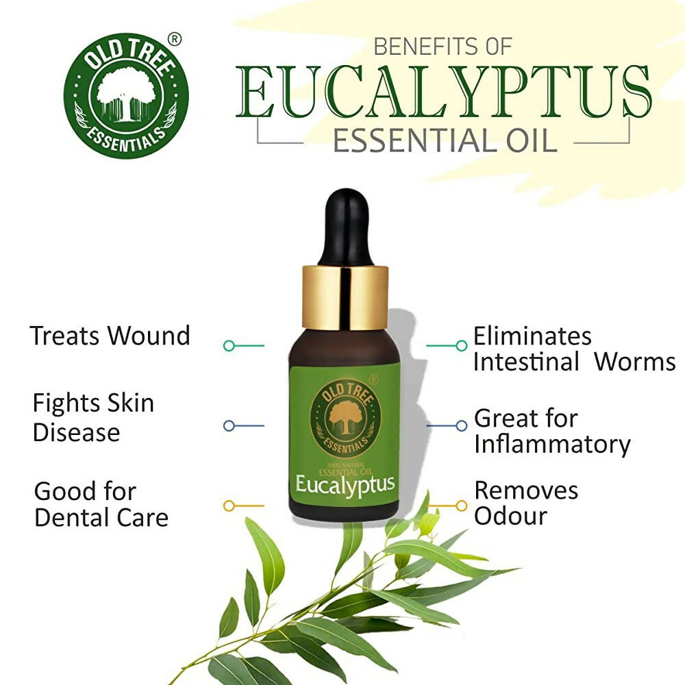 Old Tree 100% Pure Eucalyptus Essential Oil