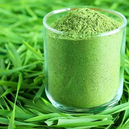 Siddhagiri's Satvyk Organic Wheatgrass Powder