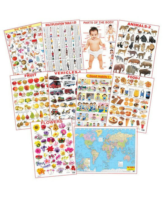 Dreamland Educational Charts - Combo 5 (10 Charts) : Children Early Learning Laminated Chart -  buy in usa 