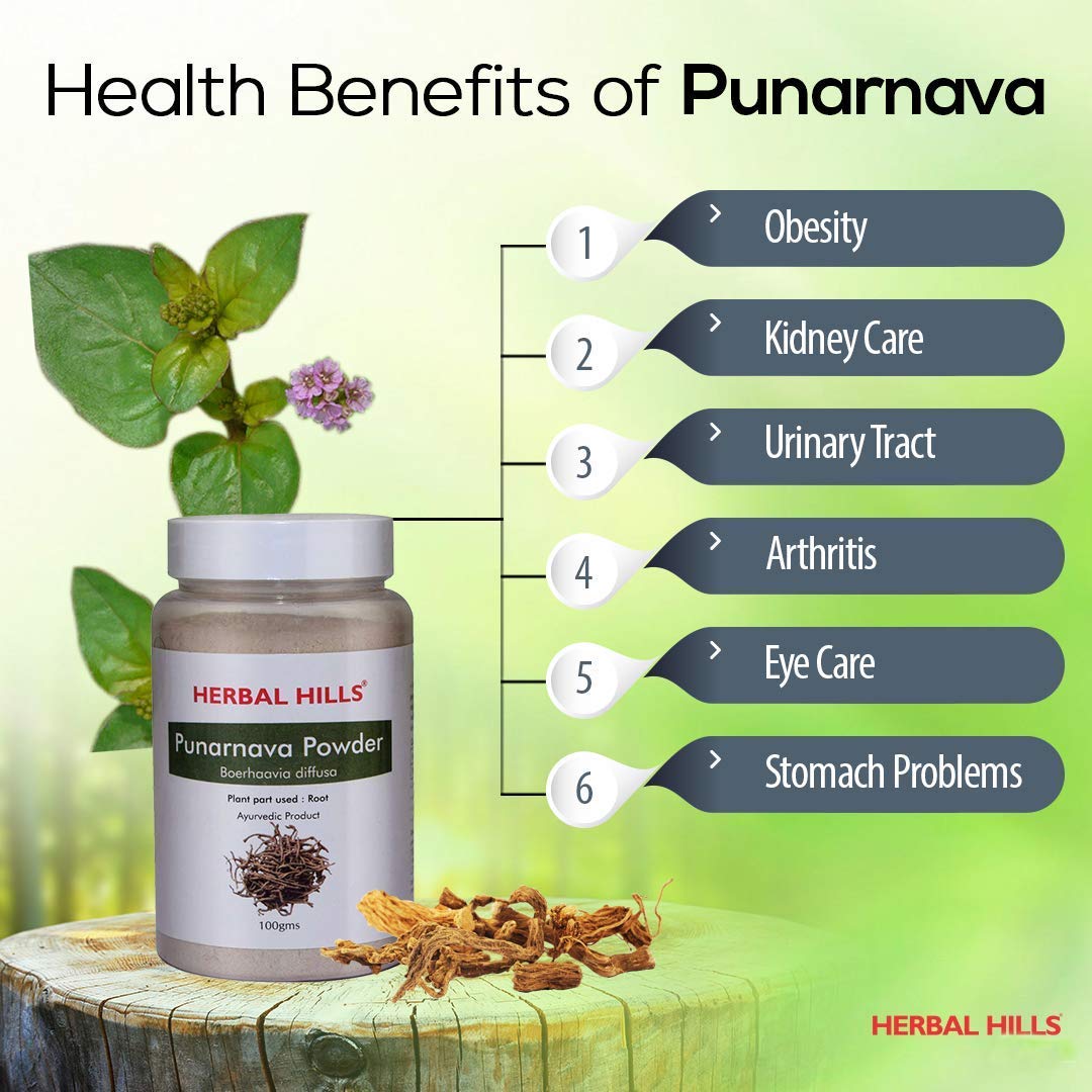 Herbal Hills Ayurveda Punarnava Powder